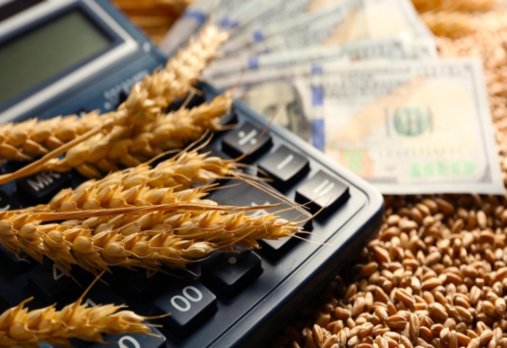 România vinde grâu ieftin și cumpără pâine scumpă. Cine este de vină pentru această situație