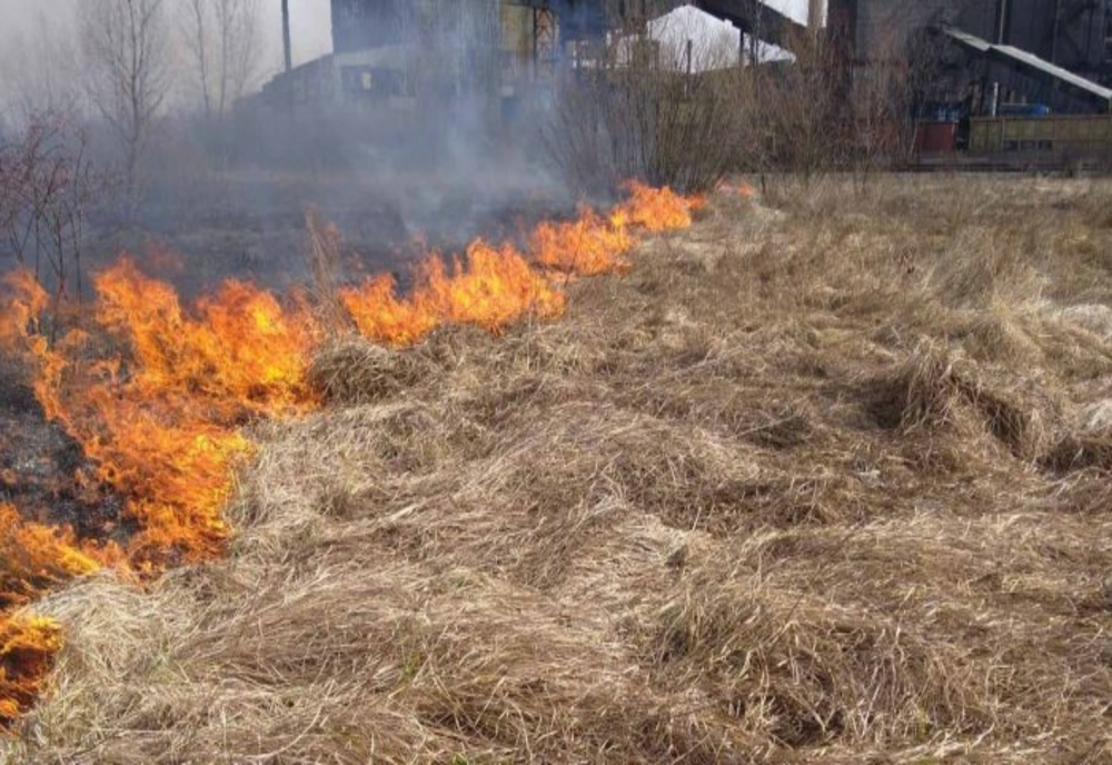Incendiu de vegetație uscată în localitatea Dâmbovicioara