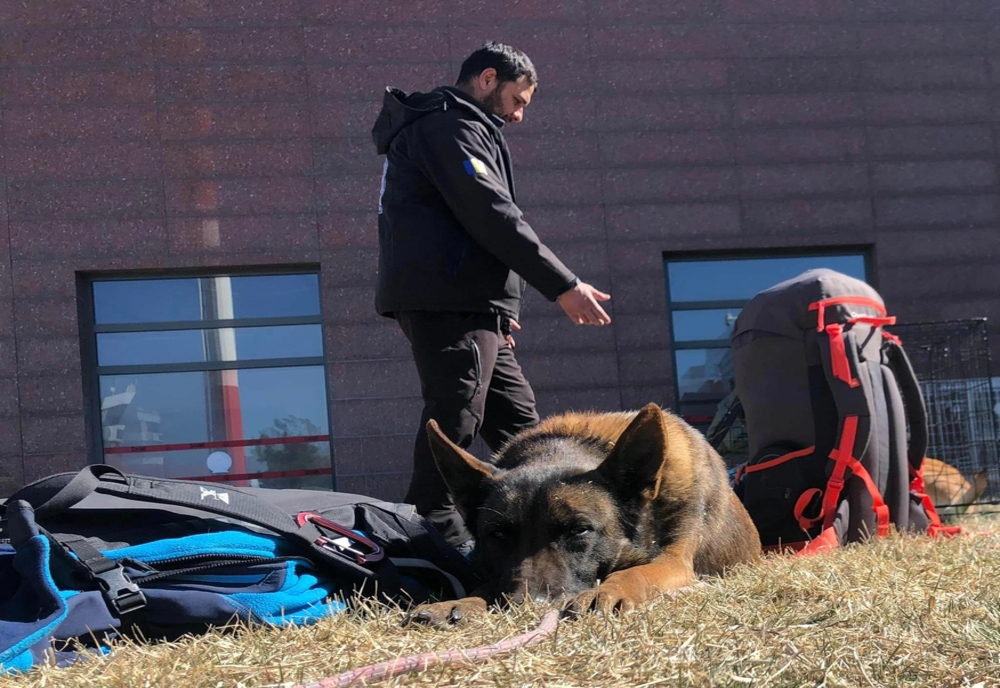 Câine speial antrenat din Caraș-Severin,  în misiune în Turcia, pentru salvare după dezastru