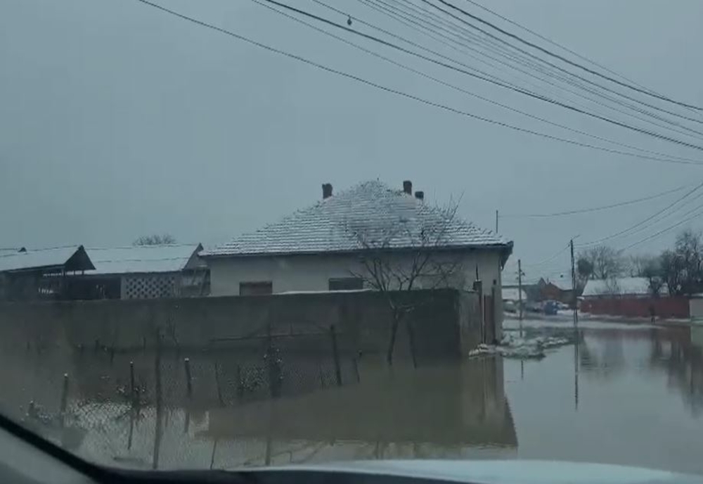 Cod roșu de inundații pe Râul Bega, în jud. Timiș: zeci de copii, evacuați de urgență. A fost emis mesaj RO-Alert