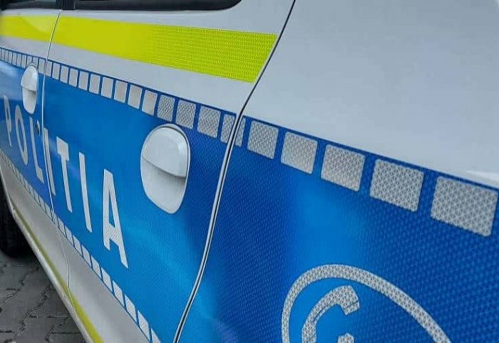 Dâmboviţa. Un șofer a refuzat să oprească la semnalele polițiștilor și a încercat să se ascundă în curtea unui localnic