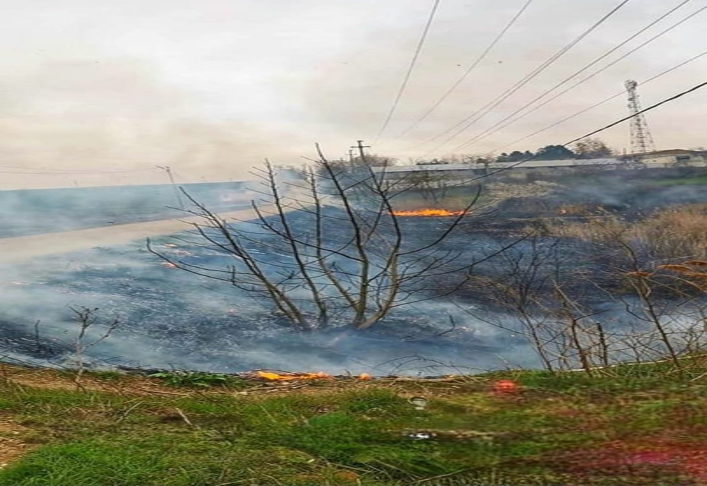 Incendii de vegetație uscată la Valea Plopilor, Uzunu şi Zorile