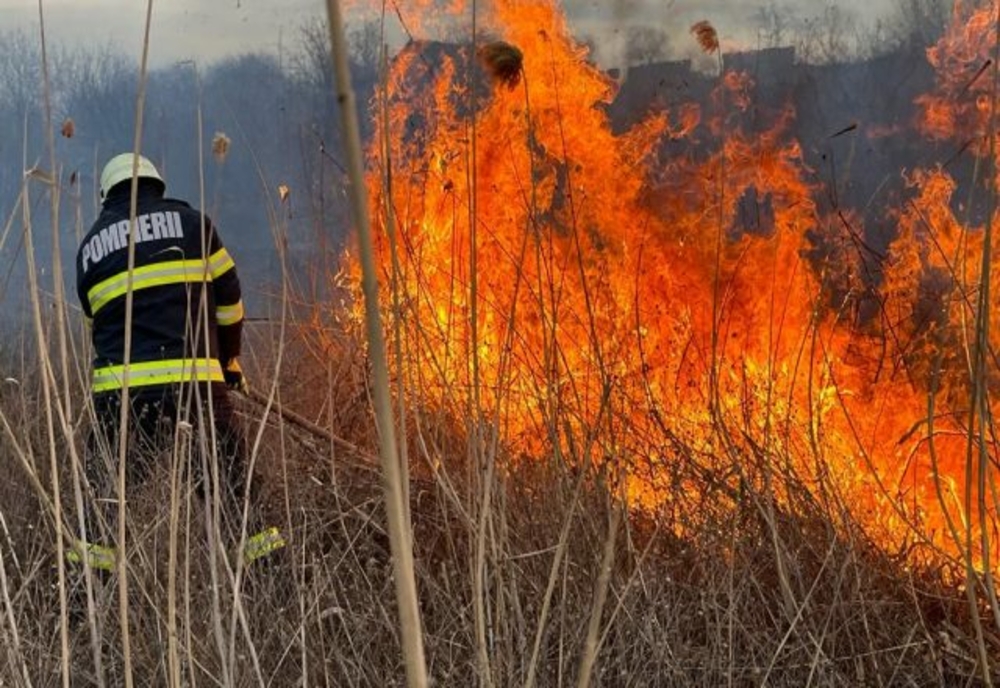 Hunedoara: Creştere ”alarmantă” a incendiilor de vegetaţie uscată