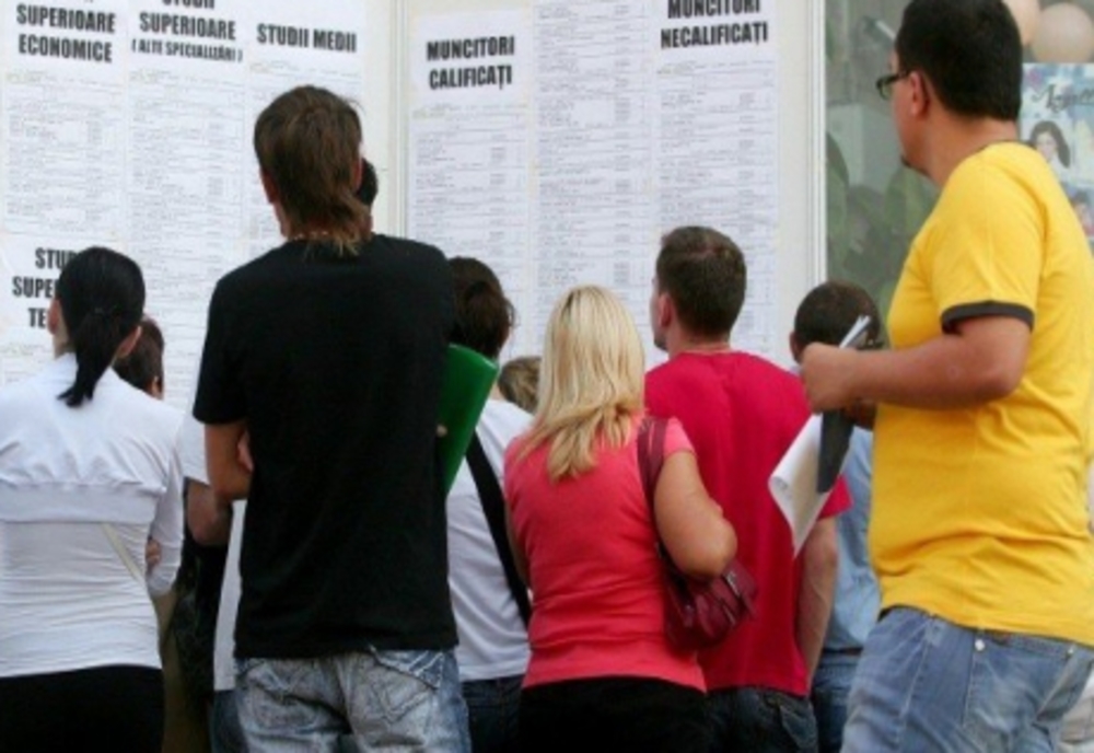 Sute de locuri de muncă, vacante în Bistrița-Năsăud și în țări din Uniunea Europeană