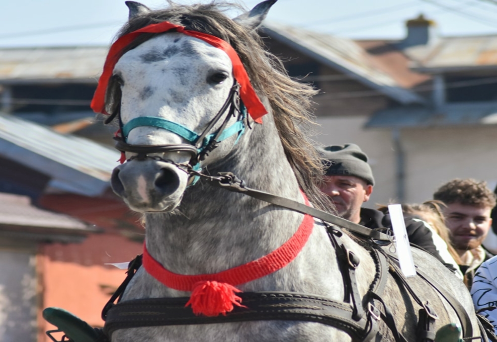 Dâmboviţa. Sărbătoare mare în comunitatea bulgarilor din Târgoviște! Paștele Cailor, eveniment unic în România