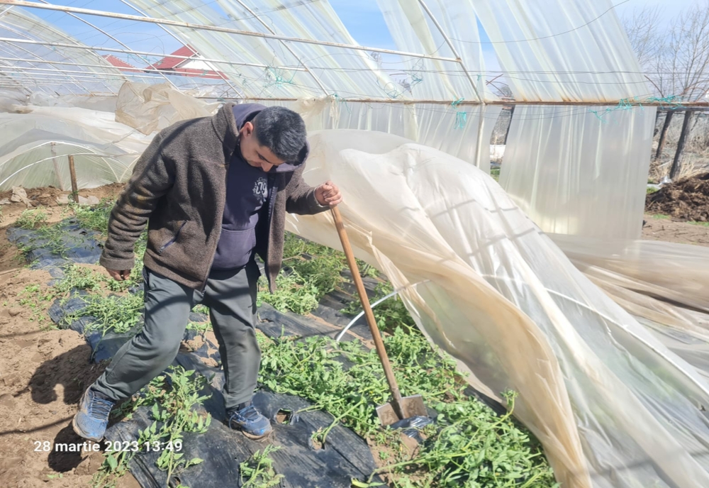 Culturi agricole afectate de vânt în 15 localităţi din Dolj (VIDEO)