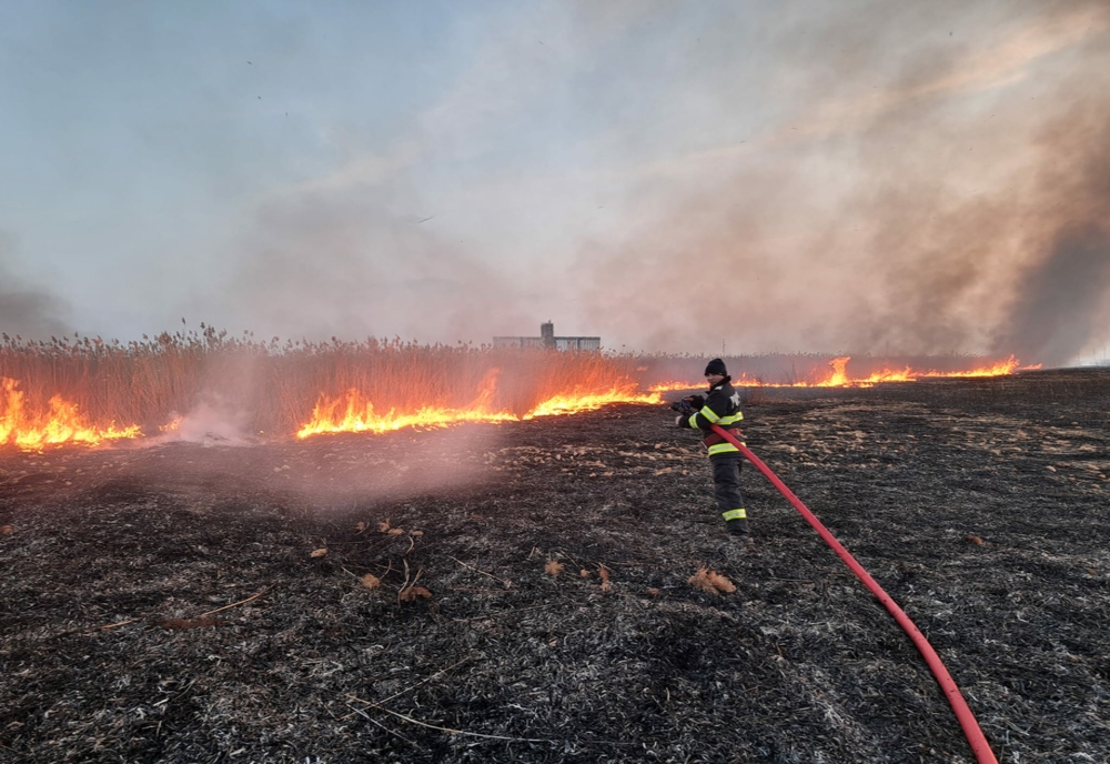Patru incendii de vegetație uscată și două incendii la locuințe înregistrate în weekend în județul Brăila