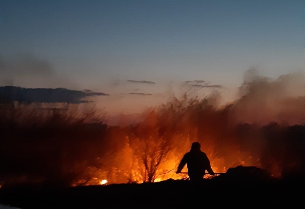 Incendii de vegetație uscată în Fetești și Urziceni