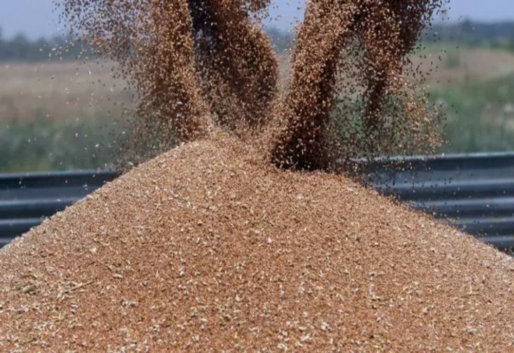 Importul de cereale din Ucraina va fi oprit până pe 5 iunie. Anunțul lui Ionuț Stroe