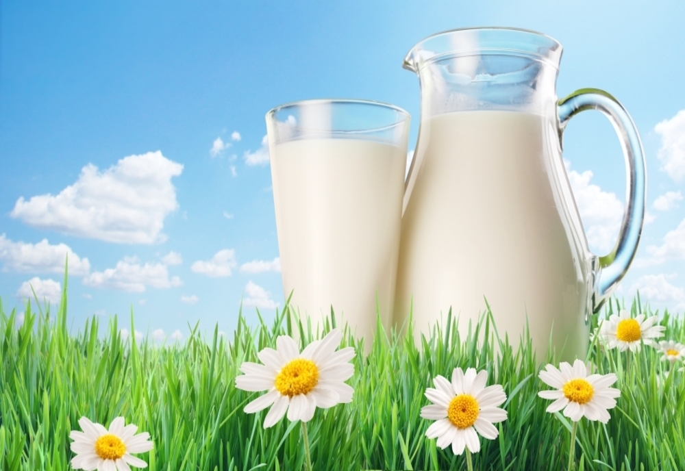 Prețul laptelui de consum va fi redus pe o perioadă de șase luni. Guvernul a anunțat și ajutoare financiare pentru susținerea fermierilor și a pieței laptelui