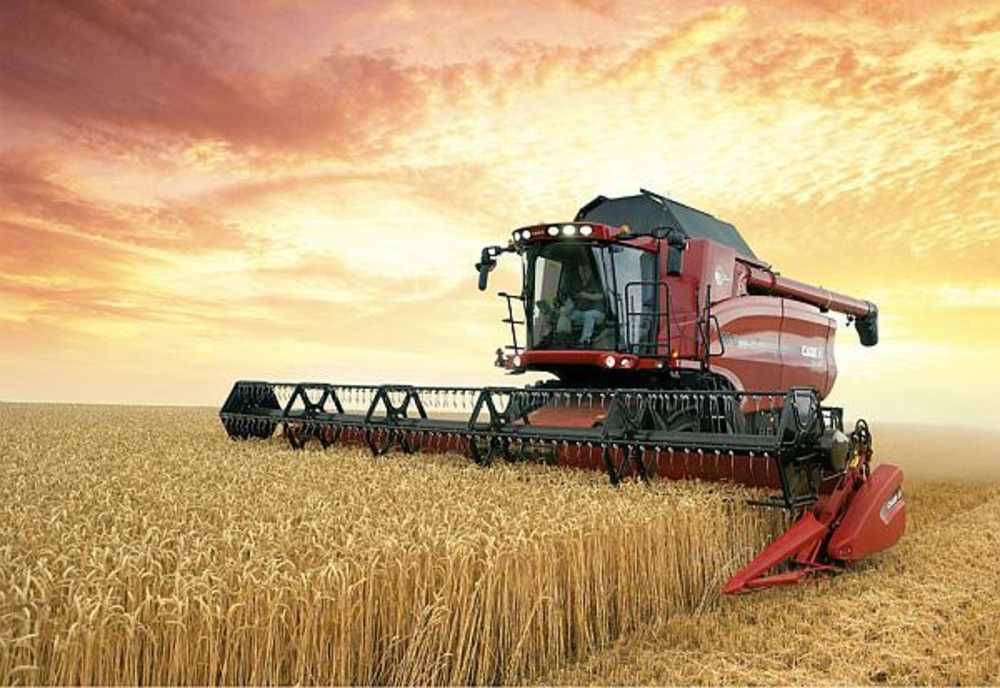 MADR: Ajutor de 20,1 mln de euro pentru producătorii agricoli din sectorul cerealelor