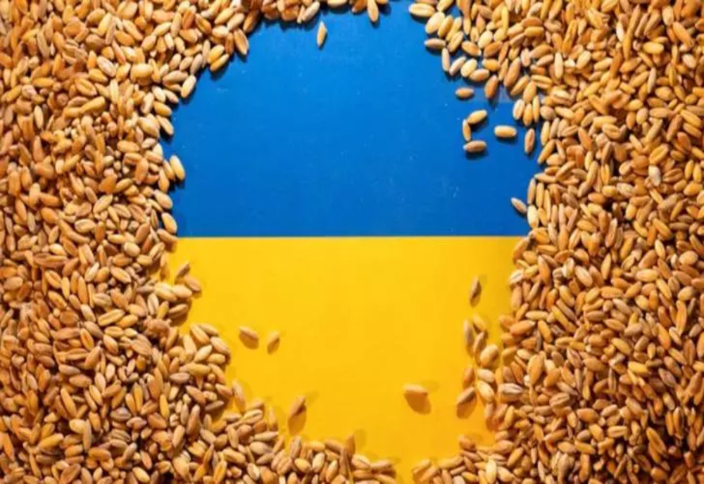Probleme identificate la cerealele și produsele nonanimale din Ucraina – Anunțul ANSVSA după aproape 10 mii de controale