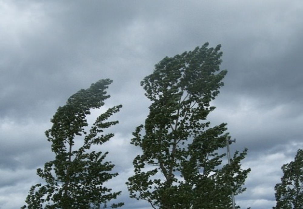 Vremea rea face prăpăd în țară: acoperișul unui bloc a fost smuls de vânt, mai mulți arbori au căzut pe carosabil