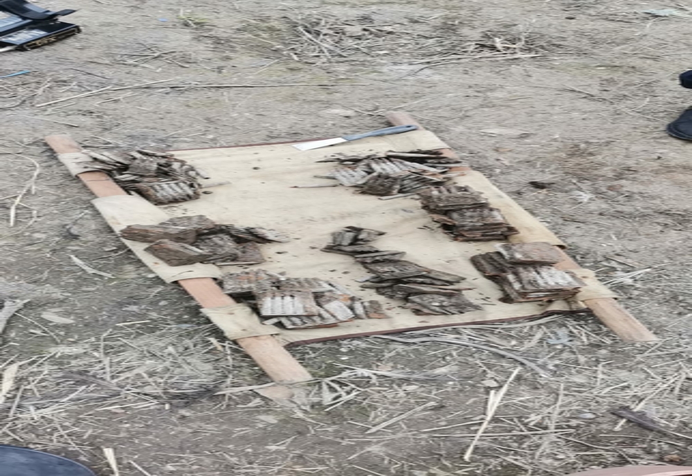Intervenții ale ISU Brăila pentru asanarea terenului de muniție, unde au fost descoperite 693 cartușe calibrul 7,62 mm