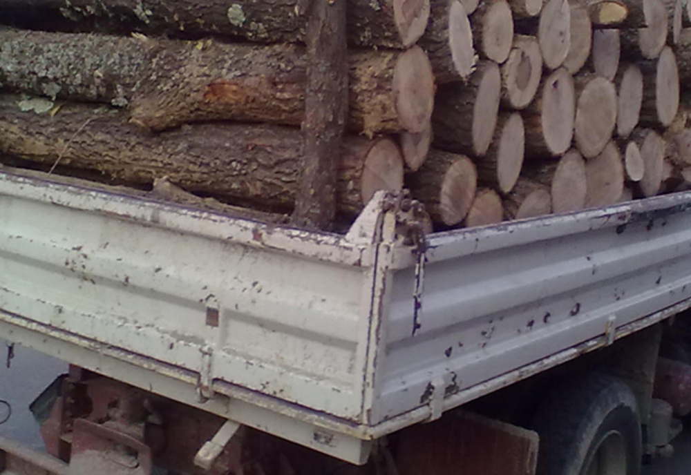 Argeșean prins cu autoutilitara plină cu lemne în Ialomița