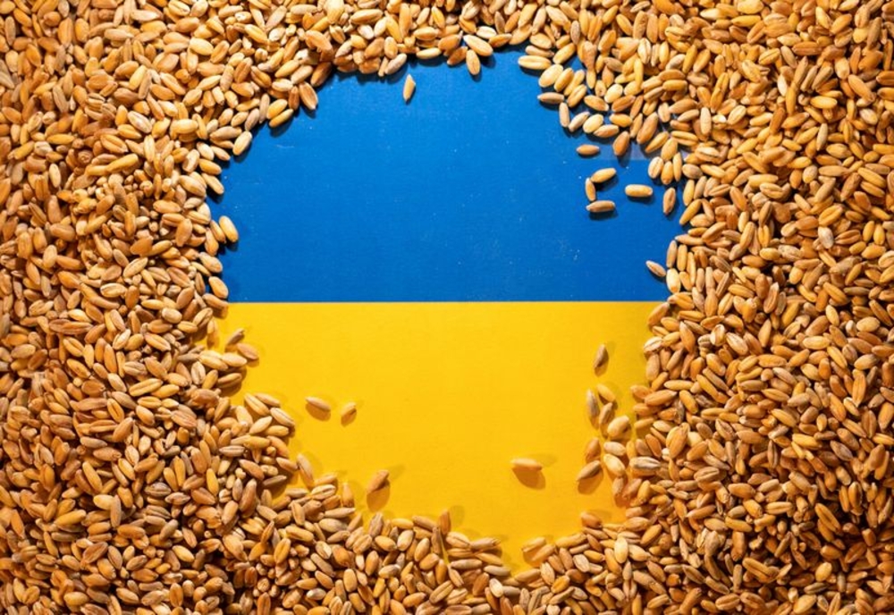 Transporturile de cereale provenite din Ucraina, verificate cu regularitate de către echipele de control. Anunțul ANSVSA
