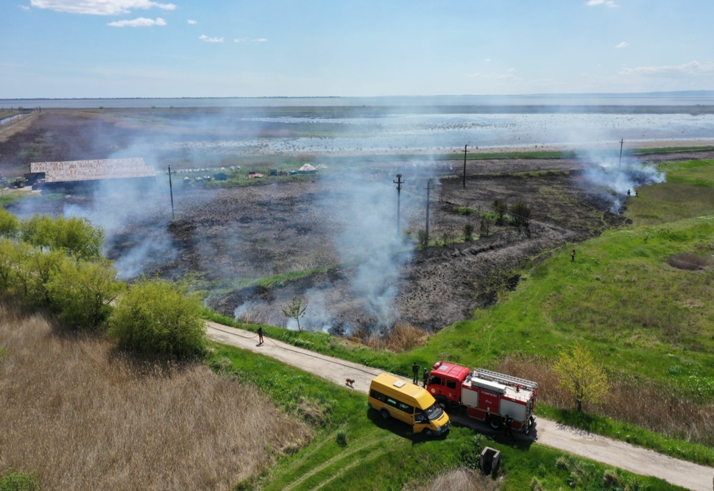 VIDEO Incendiu violent într-o fermă piscicolă din Delta Dunării