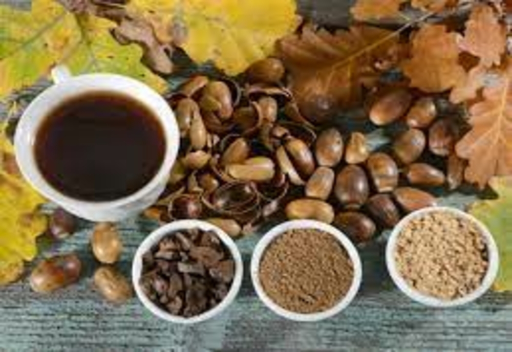 Cafea de ghinde – Iată ce beneficii aduce organismului și ce boli grave ar putea trata