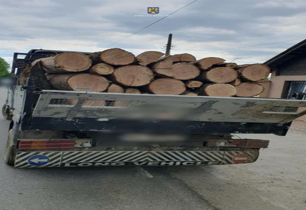 Dâmboviţa. Transport ilegal de lemne descoperit de poliţişti pe DJ702, în localitatea Valea Mare
