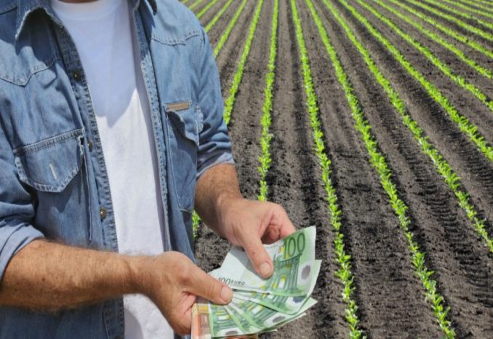 APIA autorizează plățile aferente schemelor de sprijin cuplat   în sectorul vegetal –  Campania 2022