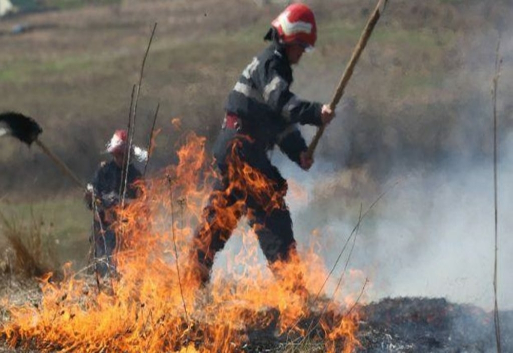 Incendiu de vegetație în apropierea Aeroportului Otopeni, cu extindere la un saivan de oi