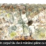 Ce se întâmplă în corpul tău dacă mănânci pâine cu mucegai – e mai grav decât crezi!