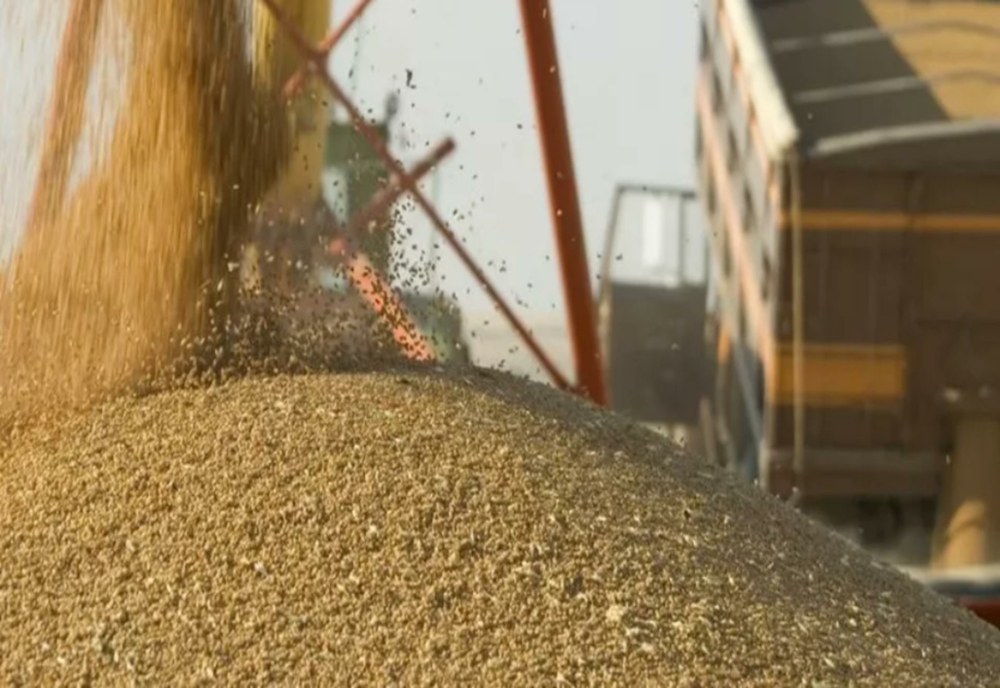 Transportul cerealelor din Ucraina, asigurat de Eurohold