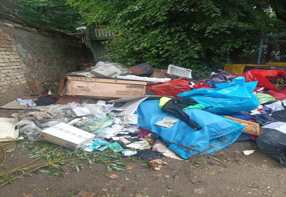 Amenzi pentru gunoiul aruncat aiurea: zeci de rampe ilegale de gunoi, la Timișoara