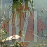 Dezastru ecologic într-un cunoscut parc din Iași