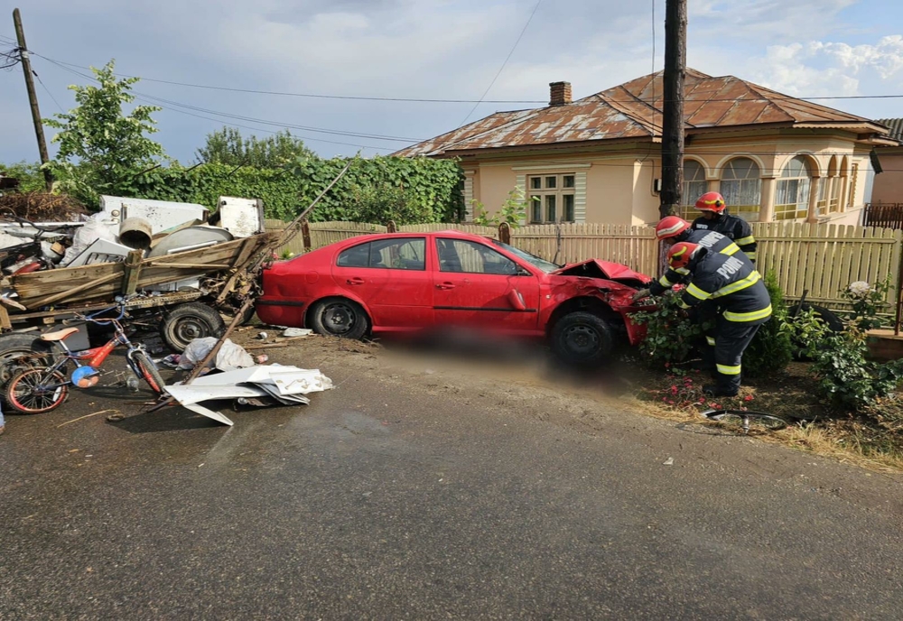 Accident dramatic pe o şosea din judeţul Giurgiu. Cal rămas blocat sub un autoturism!