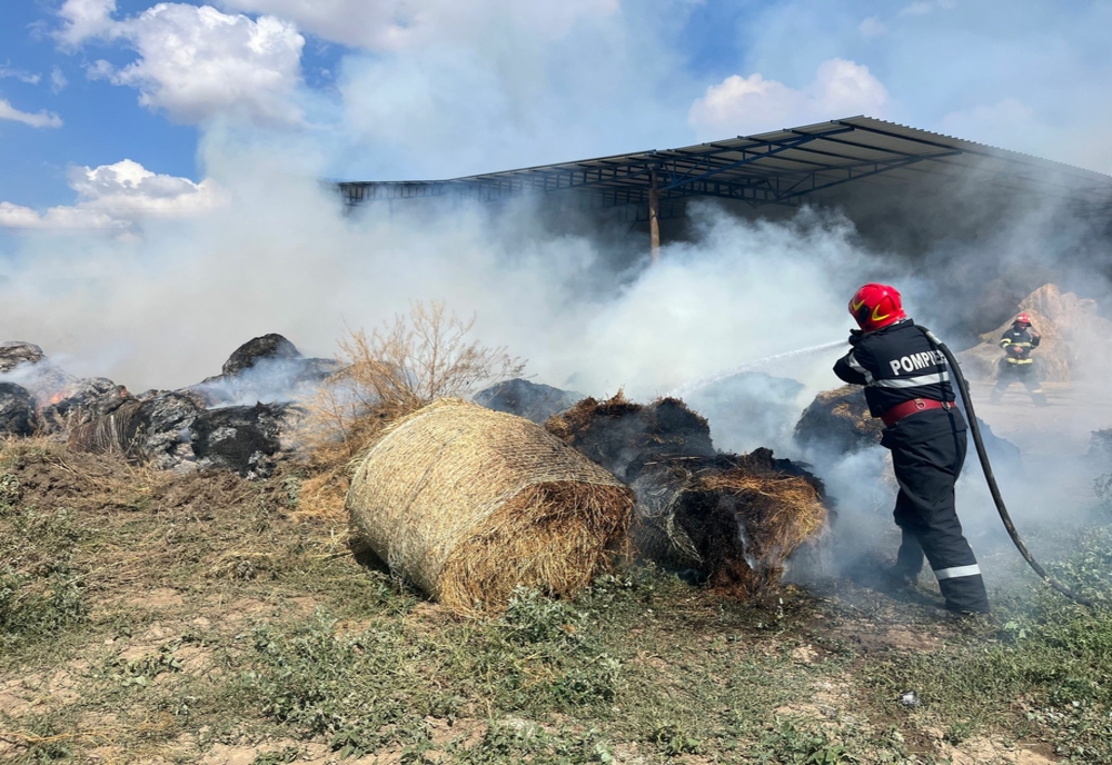 FOTO Incendiu violent la o fermă agricolă din județul Tulcea