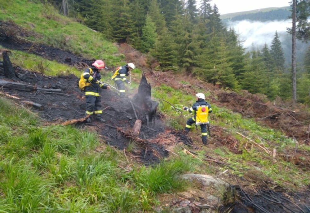 Incendiu într-o pădure din Dâmbovița! Flăcările s-au manifestat la resturile de exploatare forestieră
