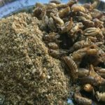 Ce produs va fi interzis în magazinele din România