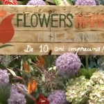 Flowers Market Holland – cel mai mare depozit de flori din Capitală a împlinit 10 ani VIDEO