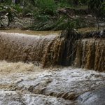 Povestea sfâșietoare a bărbatului de 75 de ani care a murit luat de viituri la Arad – A vrut neapărat să-și salveze câinele de la înec