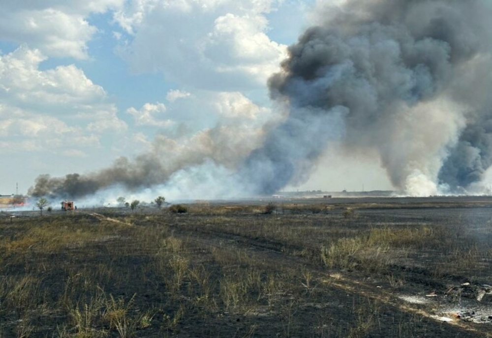 Incendiu de vegetație cu două focare: în sectorul 5 al Capitalei și în Măgurele, județul Ilfov. Suprafața afectată este de 20 de hectare