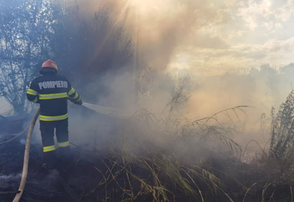 IALOMIȚA. Circulația oprită pe DN21 din cauza unui incendiu de vegetație