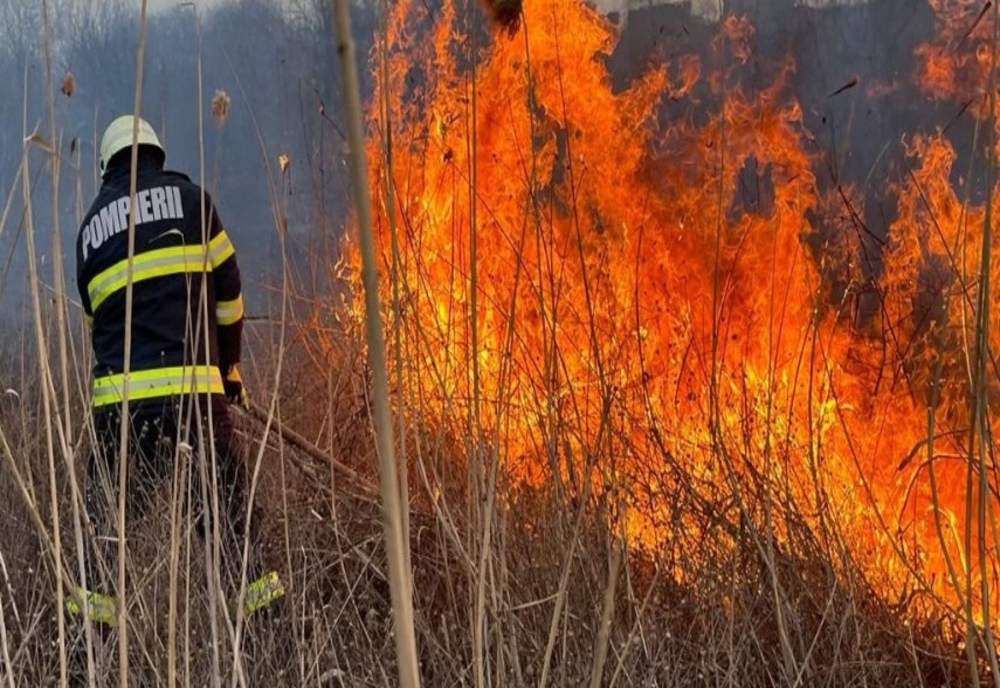 Giurgiu. Incendiile de vegetaţie uscată şi mirişti fac ravagii în judeţ