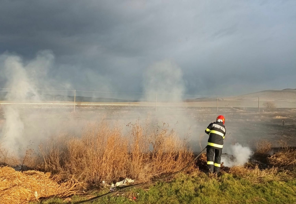 7 hectare de miriște făcute scrum în urma unui incendiu violent