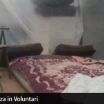 Un nou azil al groazei, descoperit în Voluntari – Oamenii erau ținuți în sere