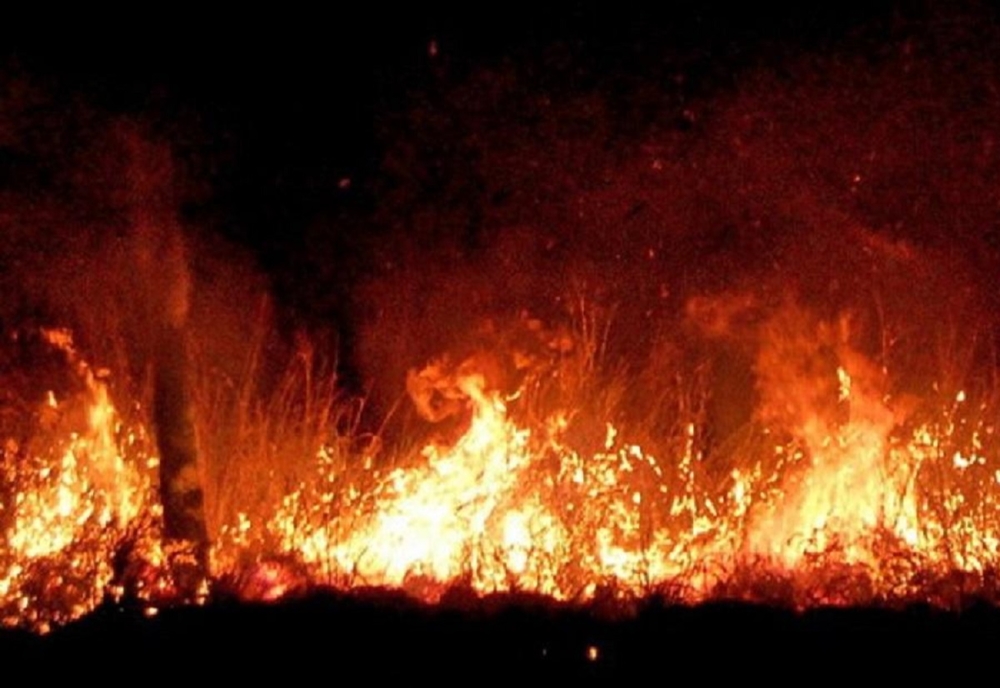 Prahova. Incendiu de vegetație în zona fabricii Coca Cola din Ploiești