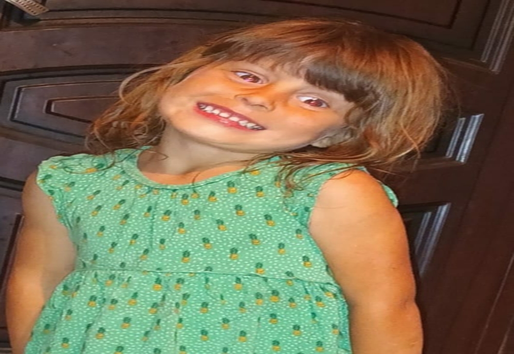 TULCEA. O fetiță de patru ani a dispărut din curtea casei. Este căutată de poliţişti, pompieri şi localnici