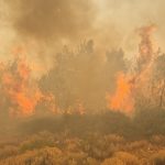 Anchetă uriașă în Grecia. Autoritățile au stabilit că cele mai multe incendii au fost provocate de mâna omului