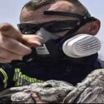 Imagine emoționantă din iadul din Grecia: doi iepurași și o pisică, salvați din infern de un pompier român