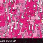 Testul de inteligență aproape imposibil de trecut – numai GENIILE știu rezolvarea. Găsești inimioara ascunsă?