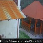 Un urs a decis să se „cazeze” într-o cabană din Rânca. Autoritățile i-au stricat planurile turistice