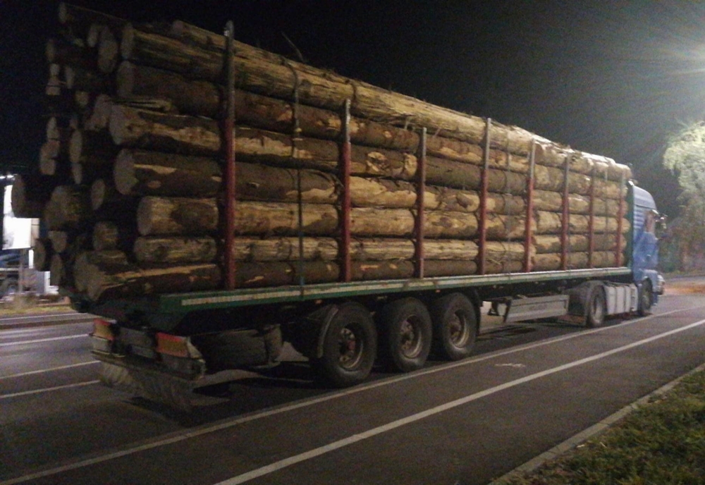 Transport cu aproape 53 mc de lemn, oprit de polițiști în Târgu Mureș! Autovehiculul și marfa, confiscate