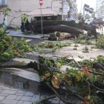 Dezastru în țară, după o furtună puternică, duminică seara – Zeci de localități fără energie electrică – Intervențiile pompierilor, de urgență