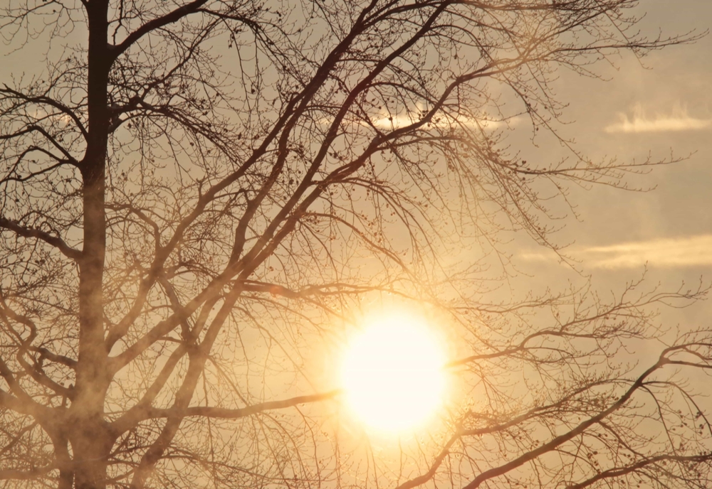 Vremea 6 ianuarie – Gerul de Bobotează lipsește în acest an – Vreme anormal de caldă