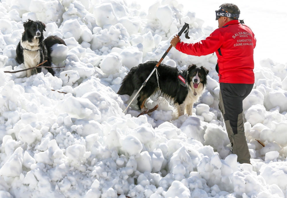 Turiști polonezi, blocați în zăpadă pe Valea Cerbului